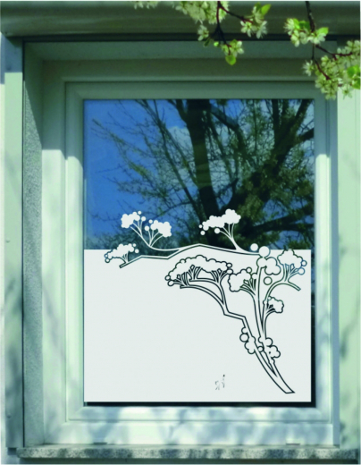 291 Kletterhortensie