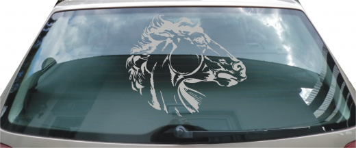 030 Pferdekopf positiv