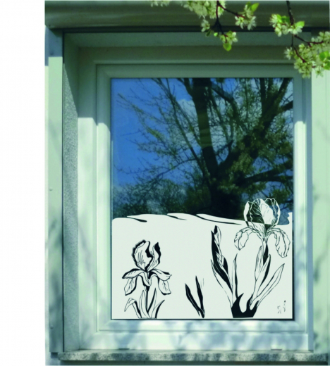 290 Iris Schwertlilie