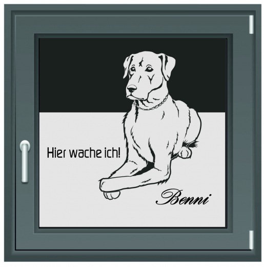 486 Benni Hund