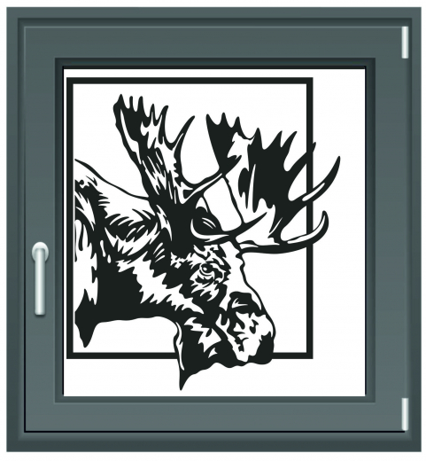 490 Elch am Fenster
