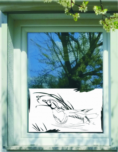 289 Ente auf Insektenjagd