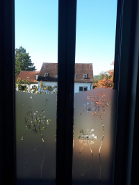 460 Pusteblume Doppeltür