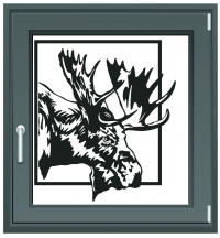 490 Elch am Fenster