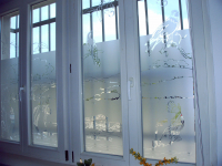 289 Ente auf Insektenjagd